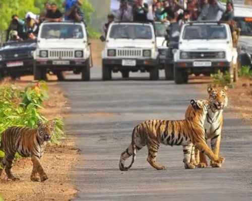 Jim Corbett
