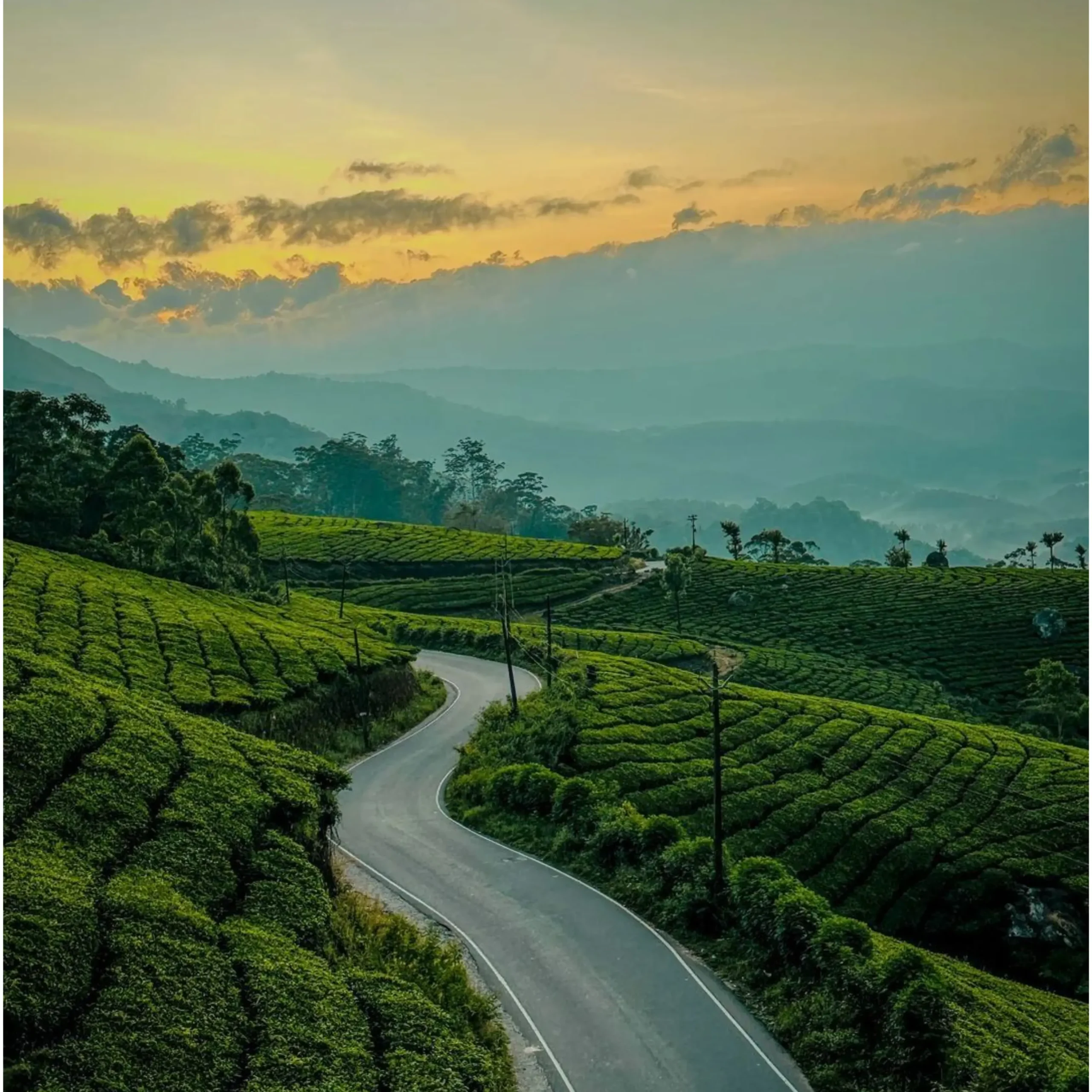 Munnar