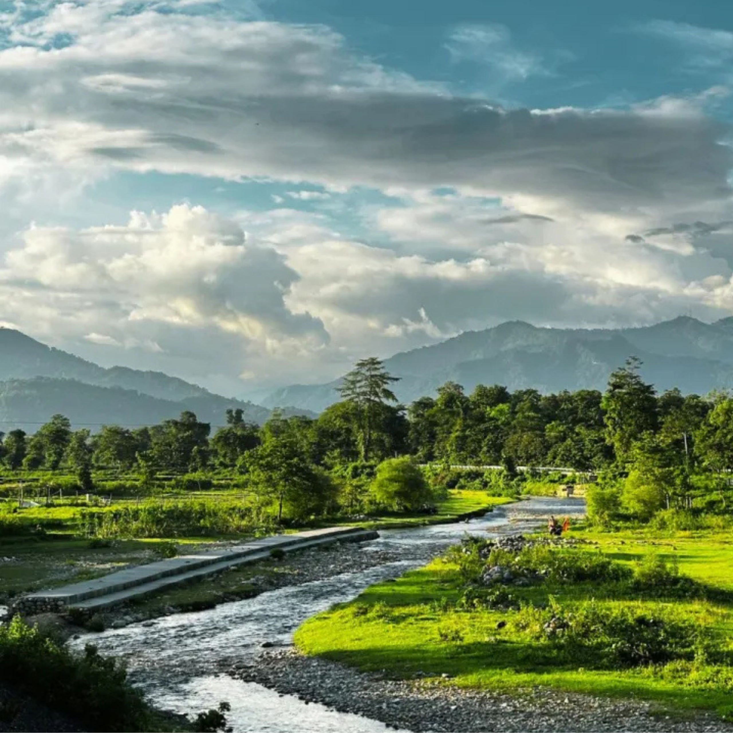 Siliguri