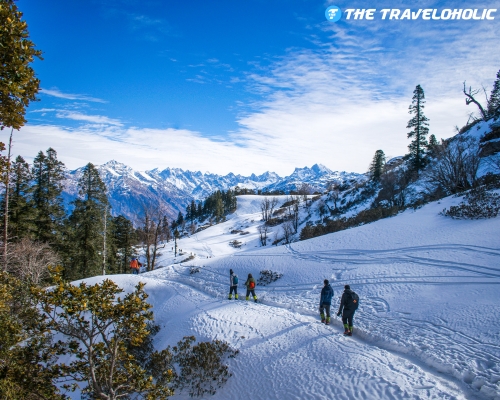 3 Nights 4 Days Chail (2N) + Kufri (1N) Tour Package from Delhi – Offbeat Hills & Snowy Trails