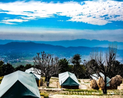 Shimla (2N) + Kufri (1N) + Chail (1N) Tour Package from Delhi (4 Nights / 5 Days)