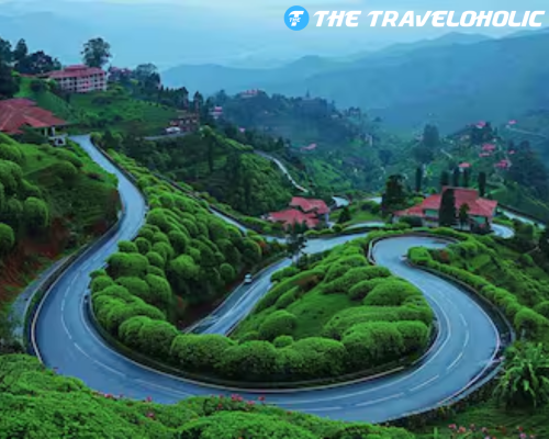 2 Nights 3 Days Kasauli + Chail Tour Package from Delhi – Hidden Hills & Peaceful Pines