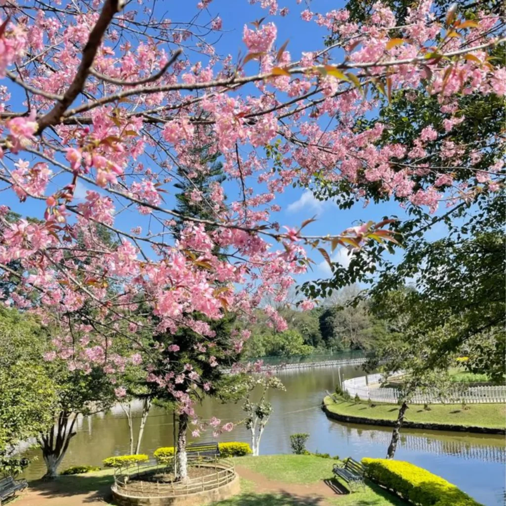 Best places to visit in Shillong Meghalaya for sightseeing and travel