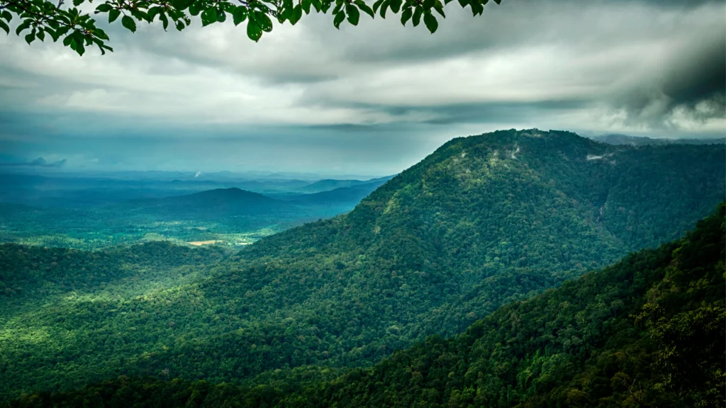 Mist-covered rainforest and green hills in Agumbe, Karnataka during the monsoon season.