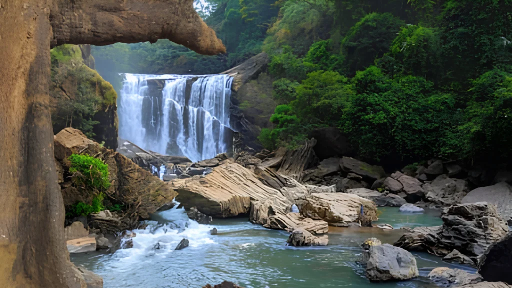Dense rainforest and river landscape inside Dandeli Wildlife Sanctuary in Karnataka.