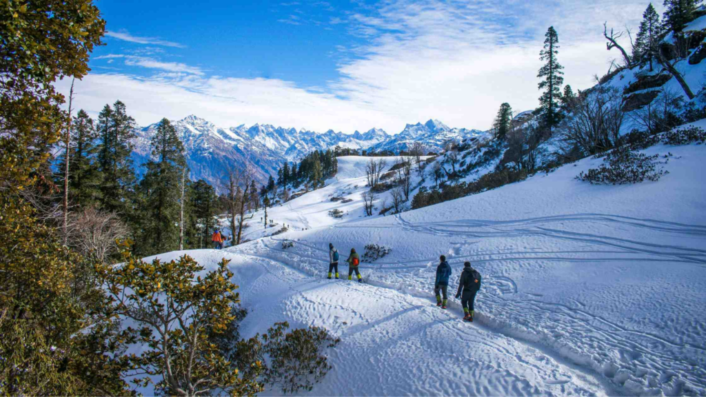 Snow-covered forest trail and mountain views during Kedarkantha Trek in Uttarakhand