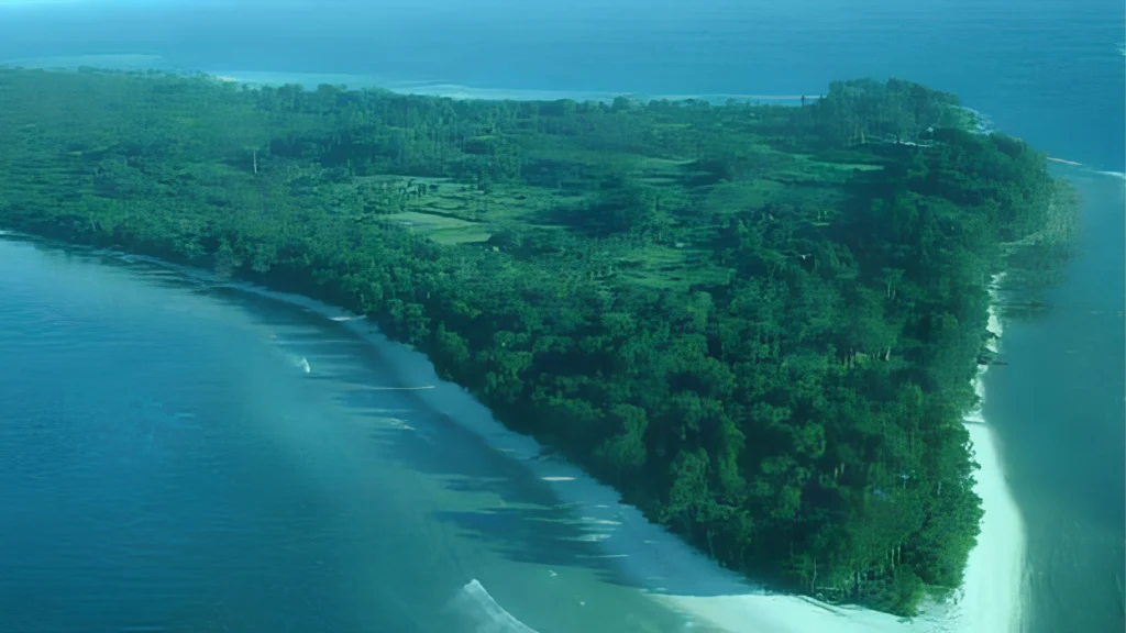 Pristine tropical rainforest ecosystem in Great Nicobar Biosphere Reserve with dense vegetation.