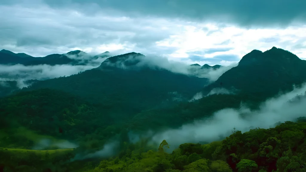 Dense tropical rainforest landscape at Silent Valley National Park in Kerala with lush greenery and rich biodiversity.