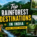 featuring lush tropical rainforests, waterfalls, wildlife, and popular rainforest destinations in India including Meghalaya, Agumbe, Wayanad, Athirapally, and Dandeli.