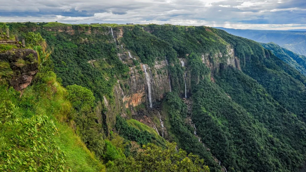 Living Root Bridge and lush green valley in Cherrapunji, Meghalaya during monsoon.