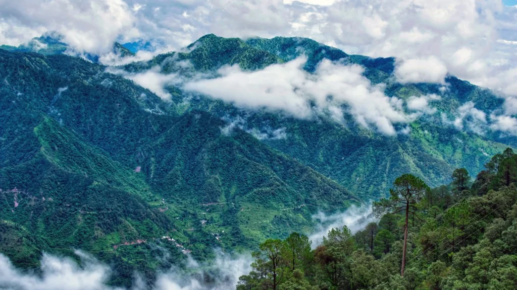 Peaceful pine forest landscape and mountain views in Lansdowne, Uttarakhand.